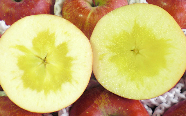 蜜入りりんご通販なら長野 青森 時期 品種はふじにこみつ 野菜 果物 山菜 米 農産物 ベジタブル通信